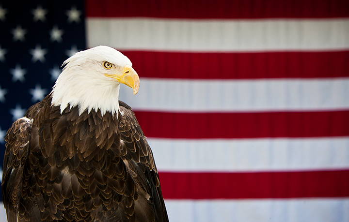 jwstaton1978's tweet photo. ⚽️🇺🇸⚽️🇺🇸⚽️🇺🇸⚽️🇺🇸⚽️🇺🇸⚽️🇺🇸⚽️ #USA #WORLDCUP https://t.co/M6KU2yR5sY