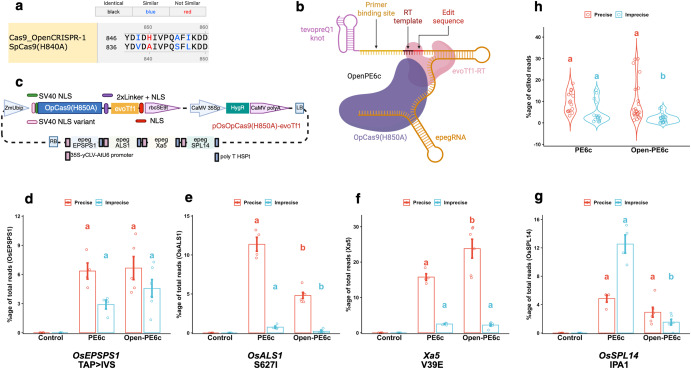 CASTScholar's tweet photo. This study validates rice-tailored AI-designed open-source OpenCRISPR-1 matching SpCas9 in editing efficiency, generating blight-resistant lines, compatible with OpsgRNA and high-fidelity OpenPE6c as an open precision crop breeding platform. https://t.co/ZLUX1QPRns https://t.co/7f276kcVvm