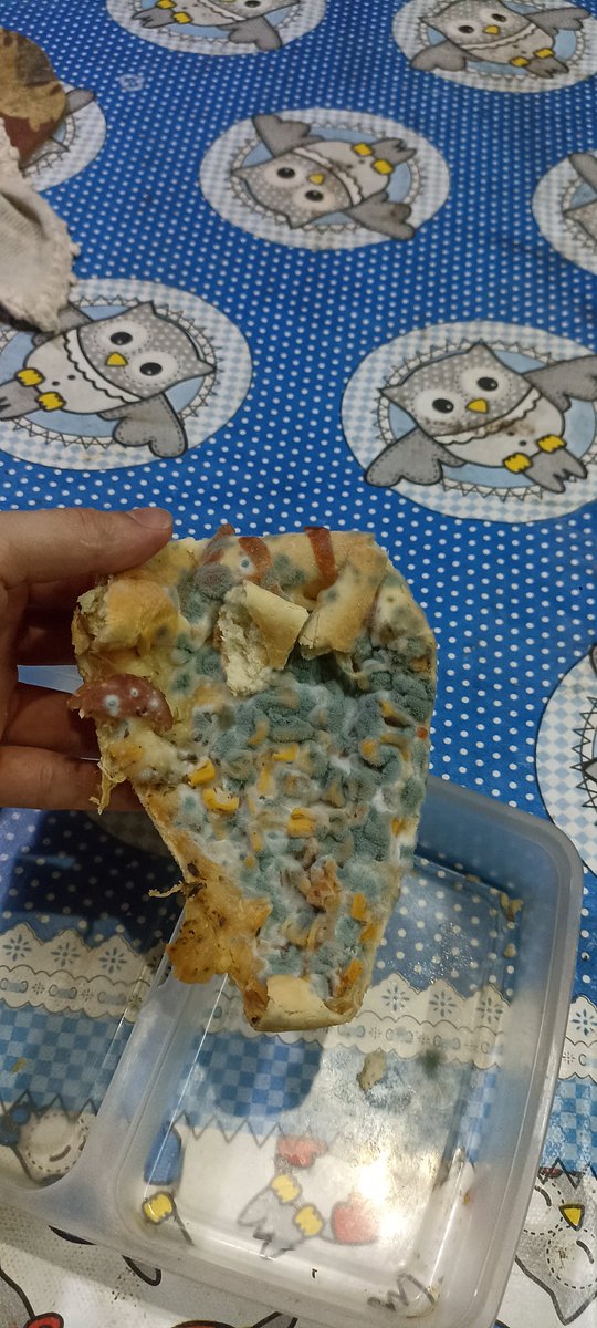 frandelgado88's tweet photo. Mi mamá "hay pizza para la cena" 

La pizza: 😆 https://t.co/fgKs97BXgZ