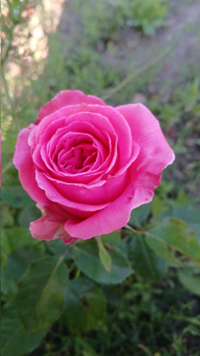 Sascha555222's tweet photo. Аква https://t.co/nHvgLqRVBb