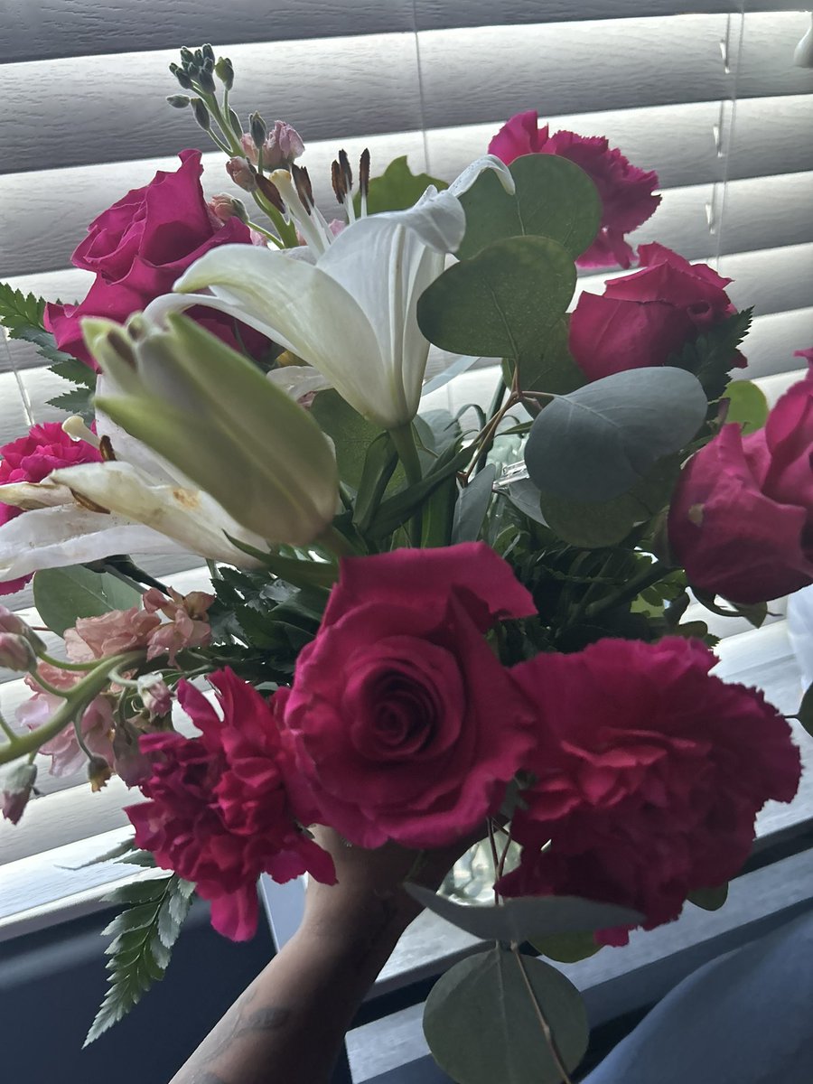 mangoii_'s tweet photo. aren’t they just the prettiest? 💓🌷 https://t.co/TunQ4VvxHy