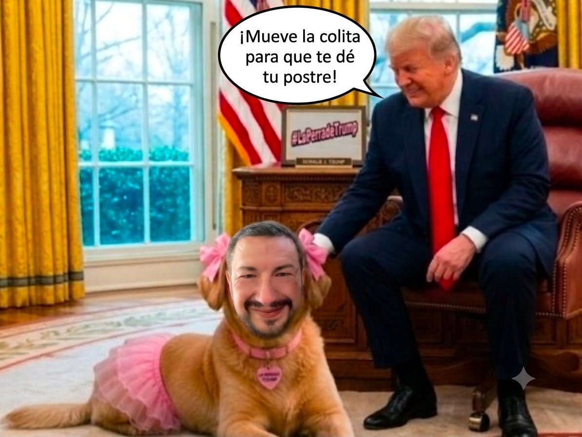 LoboFC11's tweet photo. @JJDiazMachuca @A_MontielR @JuanaCarrilloL1 La #PerritaDeTrump (@JJDiazMachuca) https://t.co/HvJIapzDou