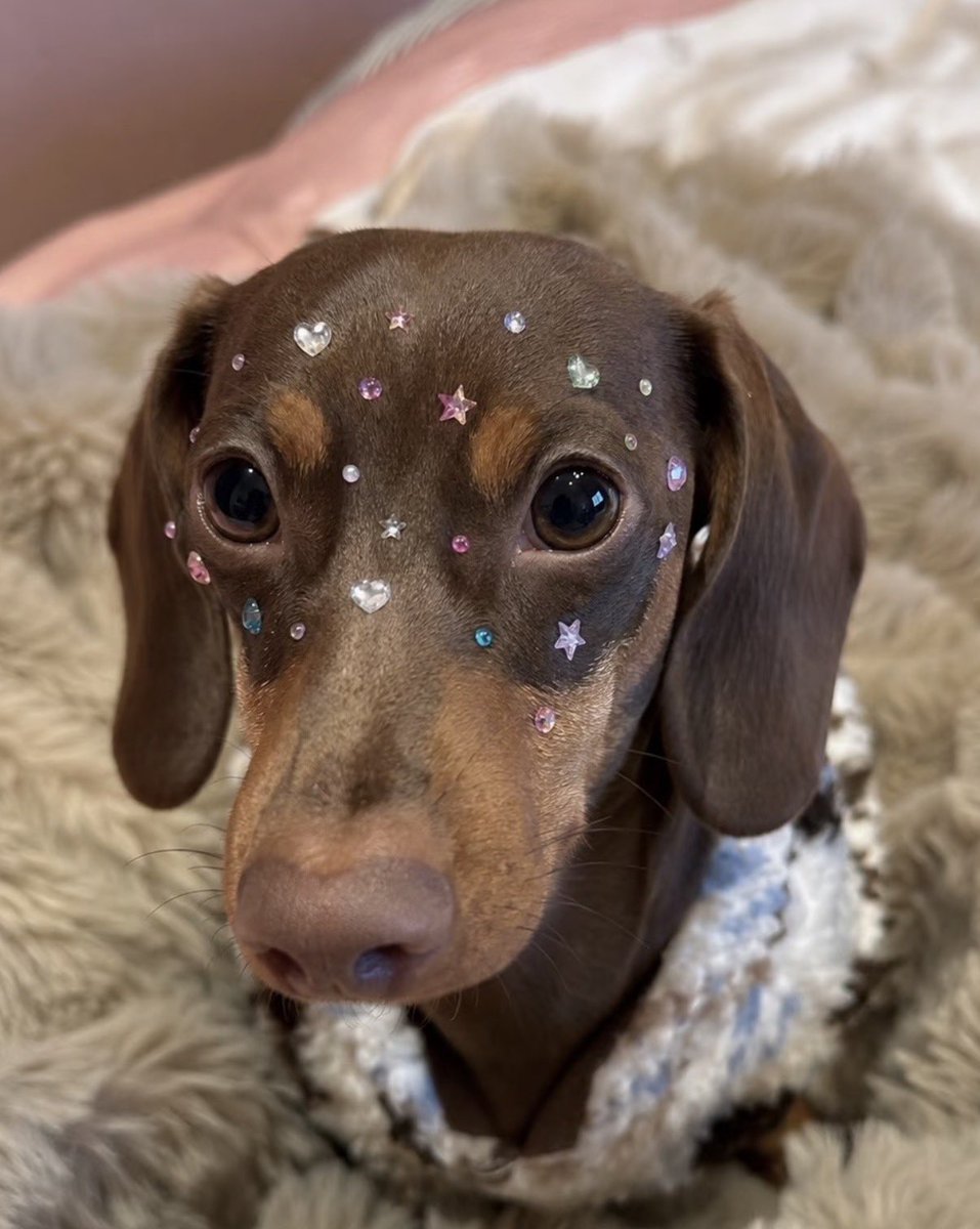 twaniimals's tweet photo. https://t.co/TH7UI8aDeI