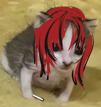 duvet2009's tweet photo. jane remover cat vers. https://t.co/p6rxPqtRjI