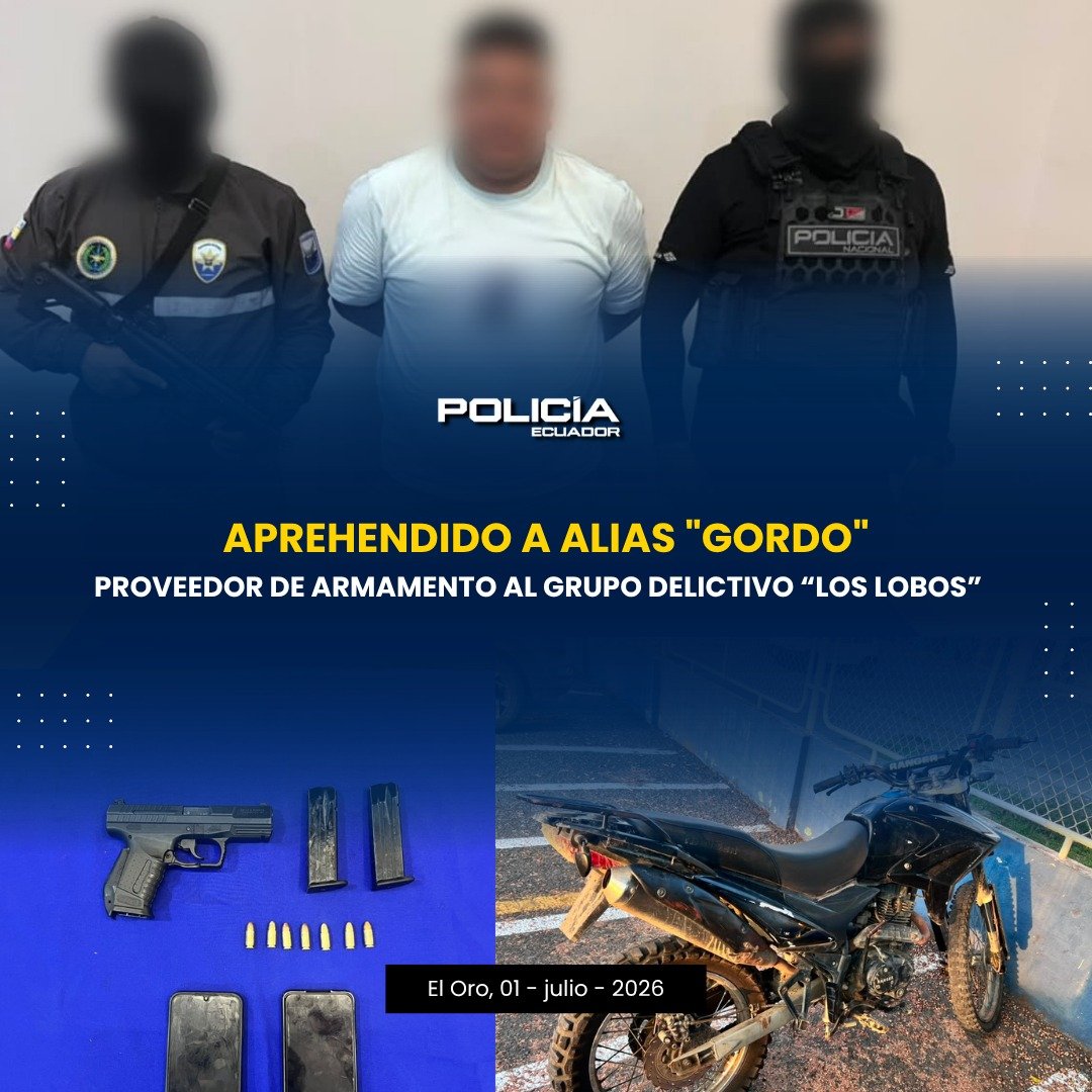 PoliciaEcuador's tweet photo. 🚨 APREHENDIMOS A ALIAS "GORDO", PRESUNTO PROVEEDOR DE ARMAMENTO AL GRUPO DELICTIVO LOS LOBOS

La #PolicíaEcuador, a través del trabajo de las unidades de Inteligencia, ejecutó un operativo en el sector Torata, cantón Santa Rosa, #ElOro, donde fue aprehendido Luis P., alias “Gordo”, integrante del grupo delincuencial “Los Lobos”, por su presunta participación en el delito de tenencia ilegal de arma de fuego.

De acuerdo con las investigaciones, el aprehendido sería el encargado de proveer y trasladar armamento desde los cantones Piñas, Portovelo y Zaruma hacia el sector de El Guayabo, con el objetivo de abastecer a esta estructura delictiva, presuntamente vinculada a actividades de minería ilegal, robos, extorsiones y muertes violentas.

Indicios:
* 01 arma de fuego
* 01 motocicleta con alteraciones en sus sistemas de identificación alfanuméricos
* 07 cartuchos
* 02 terminales móviles
* 02 alimentadoras

#ServirYProtegerConFirmeza