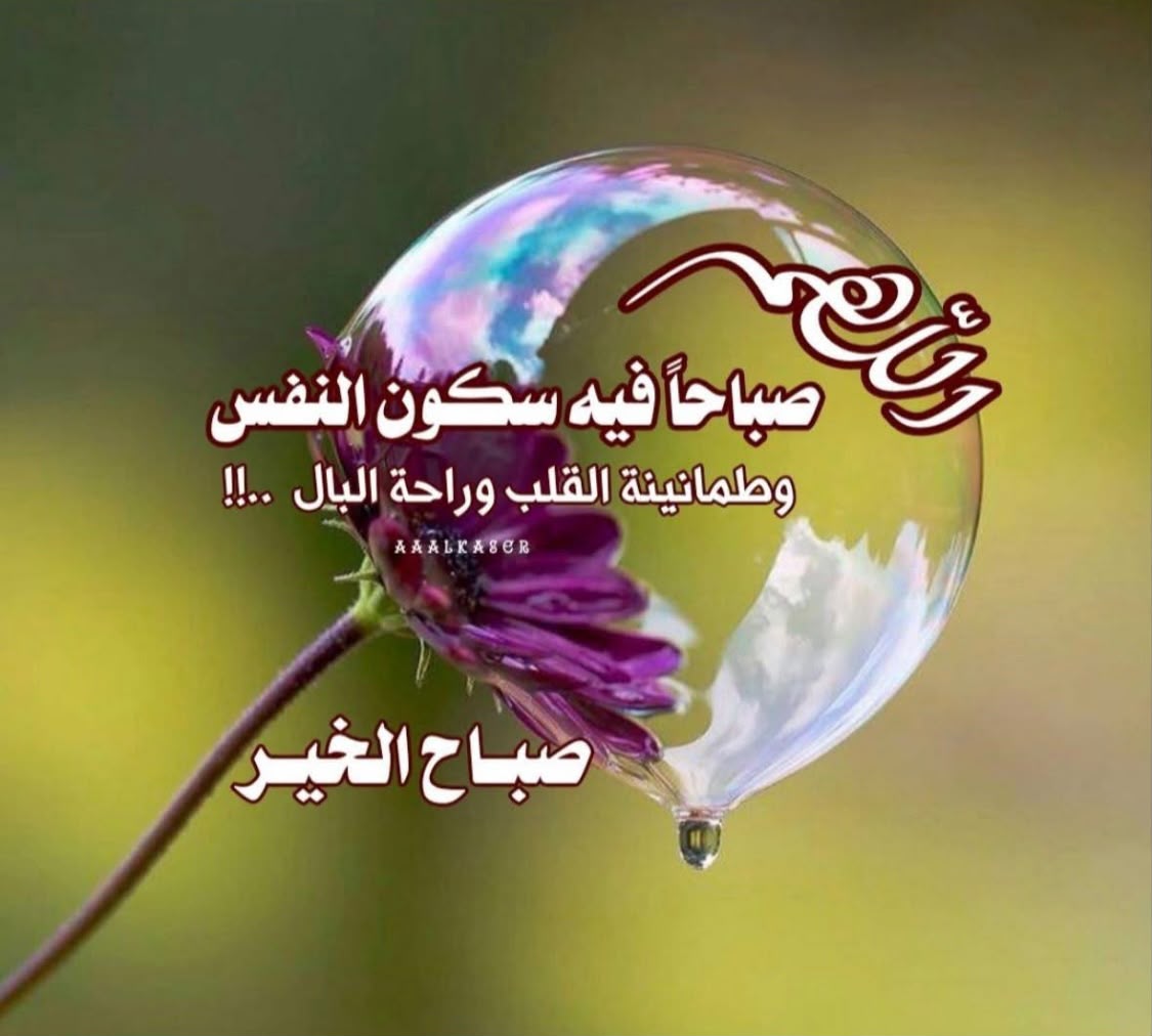 gzzi33's tweet photo. https://t.co/guIeW9hEix