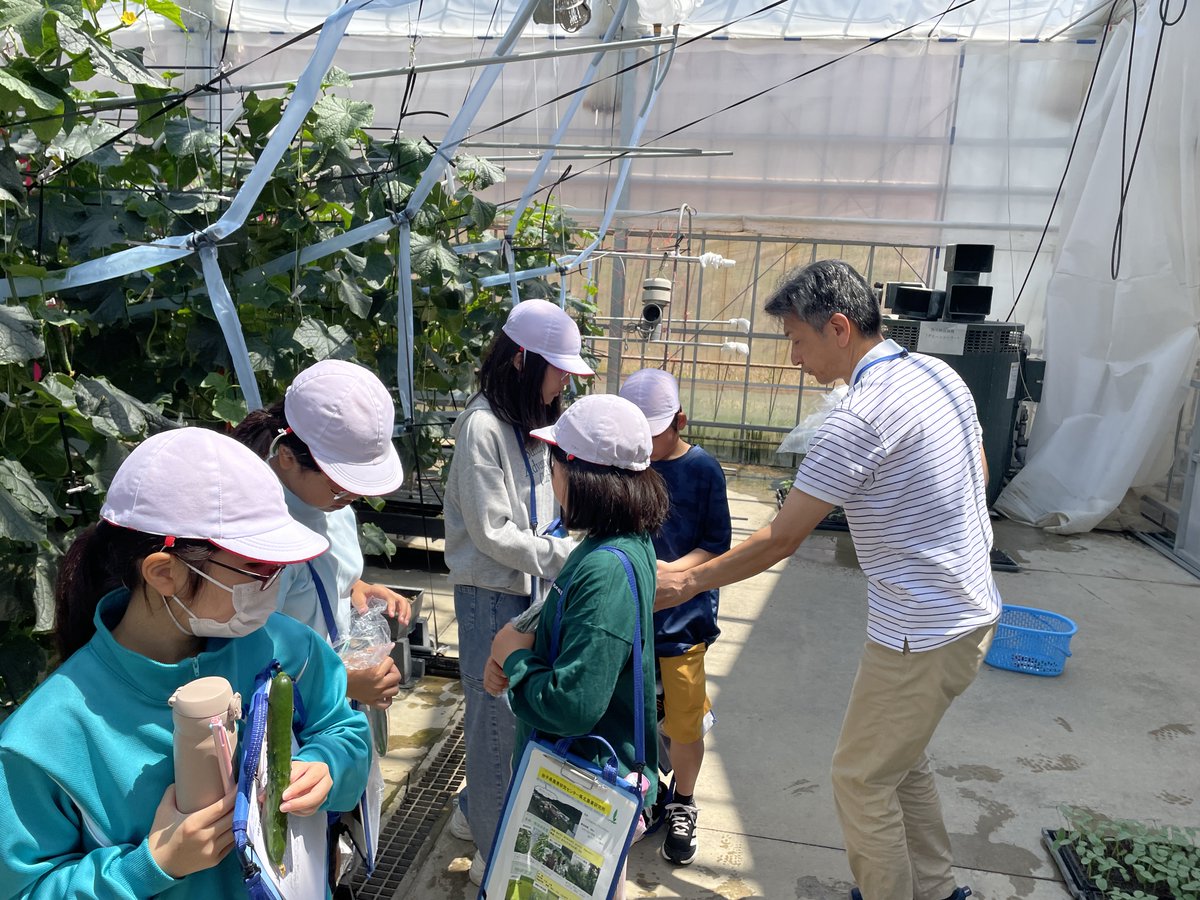 iwate_iarc's tweet photo. 【らぼ・れたあ】軽米町立晴山小学��の５年生が県北農業研究所の施設見学に来ました。
　果樹・野菜研究室の果樹圃場ときゅうり高規格ハウスを見学し、果樹圃場のボット草刈機に興味津々でした。秋は作物研究室の圃場を見学します。
https://t.co/bzHLNvSMiB
＃いわての農業 https://t.co/npejnhCJD0
