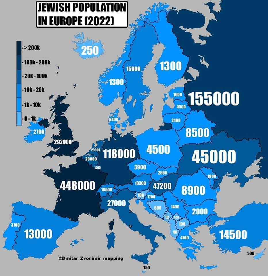 SleepyJ44161's tweet photo. @name011362 @solduceaurelian @unionpaneurope Italics are white and pure, never considered non italics as white let alone the dysgenic liberal cesspool of countless ethnicities north of alps mixed together for centuries, is a well known fact that if youre not Italian youre a Jew, mixed outside italy to escape diasporas https://t.co/TtaAB0KpqB