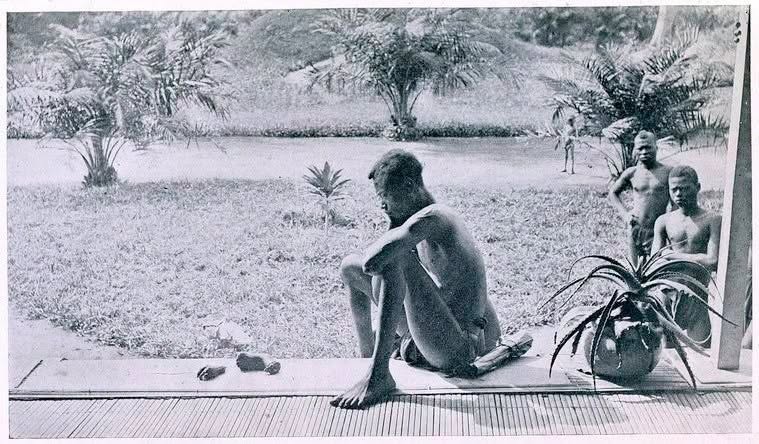 cleporati's tweet photo. En esta imagen podemos ver a un tipo de mirada triste centrando su atención en un par de “cosas” que hay en el suelo. La imagen es de 1904 y está tomada en el antiguo Congo belga. El tipo se llama Nsala y se encuentra en la misión de Wala. Ha caminado casi un día entero para llegar hasta allí porque le han dicho que en esa misión hay una señora blanca interesada en conocer lo que otros blancos le hacen a la gente de Nsala. Así que al llegar a la misión le entregó a esa señora, la misionera Alice Seeley Harris, un atado de hojas en cuyo interior había dos pequeños bultos. El día anterior los agentes de la Compañía Anglo-Belga del Caucho, presidida por el rey de Bélgica, Leopoldo II, habían llegado a la aldea de Nsala para castigarles por no haber cumplido con su cuota de recogida de caucho. 
Los castigos al Pueblo congoleño por no recoger la cuota de caucho fueron inmortalizados por la cámara de Alice Seeley en más de un centenar de fotografías. Y lo que miraba Nsala era el pie y la mano de su hija de cinco años. La misionera volvió a Europa con sus fotos y se convirtió en ferviente activista contra los asesinatos y torturas de las gentes congoleñas. Mientras tanto, Leopoldo II se convirtió, gracias al caucho, en una de las personas más ricas del planeta. 
Hace unos años, con la conmemoración del 60 aniversario de la independencia de Congo, el actual rey Felipe de Bélgica pidió perdón por los 10 millones de muertos que dejó en esas tierras su tatarabuelo Leopoldo II. De lo de pagar indemnizaciones con la fortuna familiar obtenida a costa de esos muertos no dijo cosa alguna.