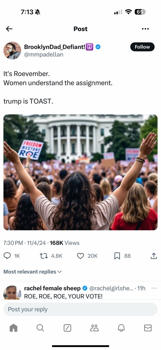 RFVNocon's tweet photo. @mmpadellan Wow! Idiotic. 

This is a low information and low quality account. 

Don't believe anything coming from this account. Do your own research and rely on your own mind. https://t.co/jn7MaqxlHp