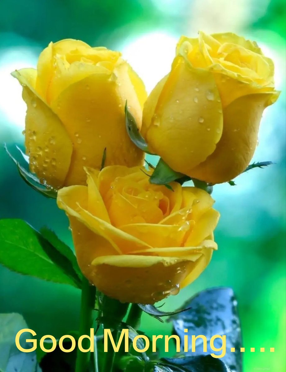 Prattikroy's tweet photo. Good Morning..... https://t.co/W5n252blcl