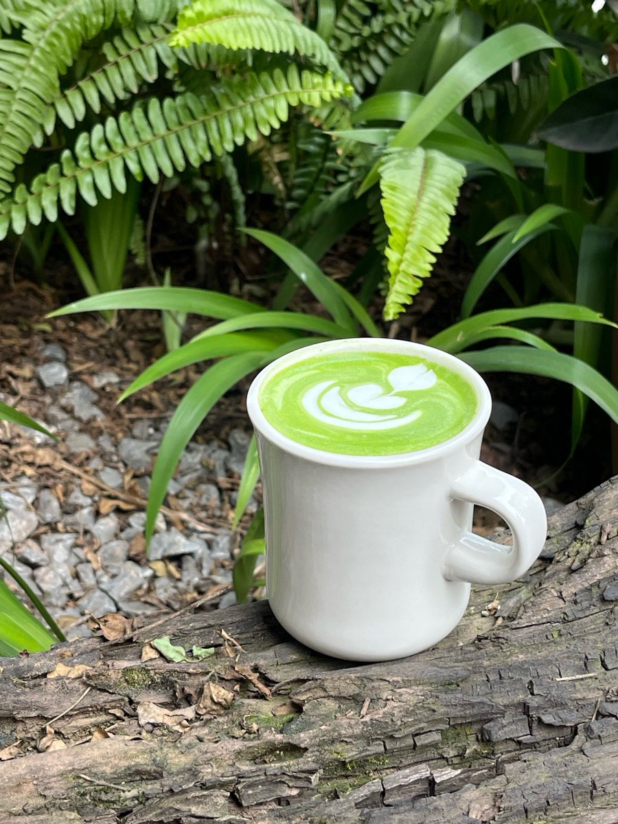 Y6UzePc7n5XmvT0's tweet photo. Whip up a 5-minute iced matcha latte: whisk matcha powder + hot water, pour over ice u0026 cold oat milk. Perfect midday pick-me-up!， https://t.co/TdSIEiS9jN