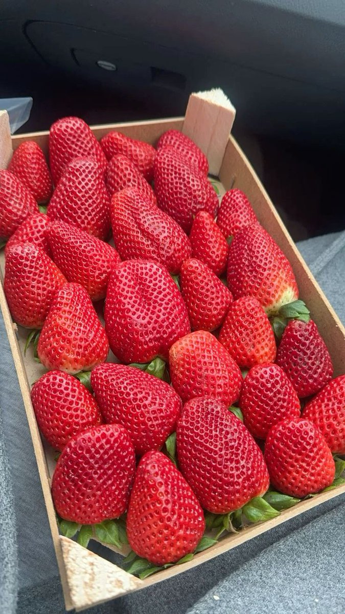 Ashu1248843's tweet photo. What is this fruit called in your country ? https://t.co/AEPAnx4zld