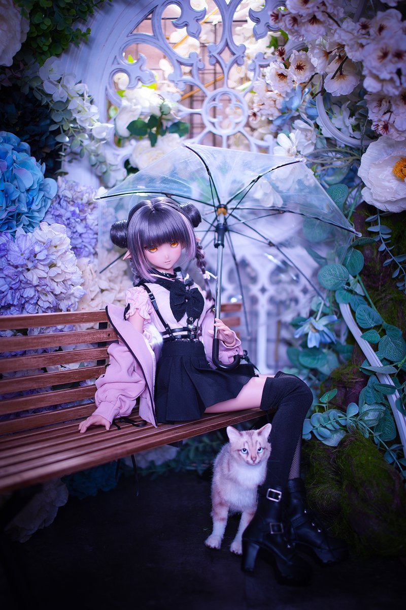 ☆確認用☆ カスタムアイシードール 紫陽花ちゃん 紫陽花、可愛すぎる🥰 #orionedoll #紫陽花 #ドルさつ #お姉さんドール