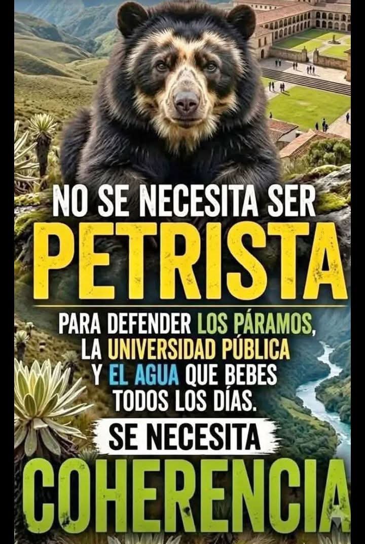 carjavi72's tweet photo. https://t.co/MkhKFGVNoF