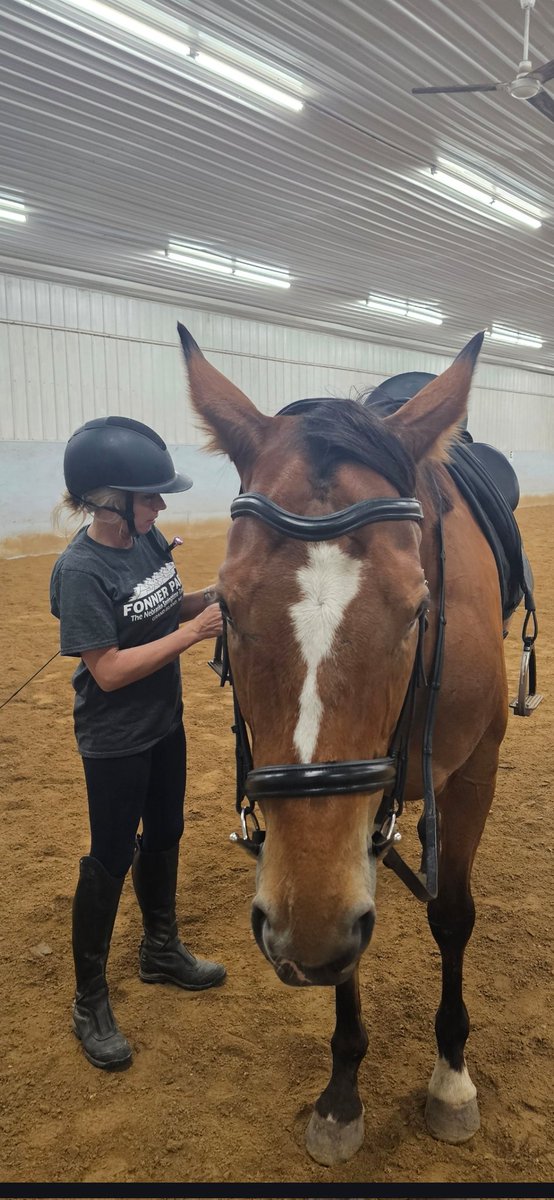 NickyStrohkirch's tweet photo. Just hanging with my best guy. #OTTB.. https://t.co/bnjbMOoc7H