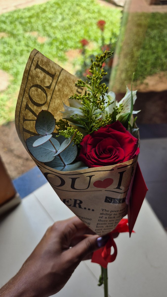 venuzcomz13's tweet photo. Dia de flores e de ser mt feliz https://t.co/uCfmqNa8ZB