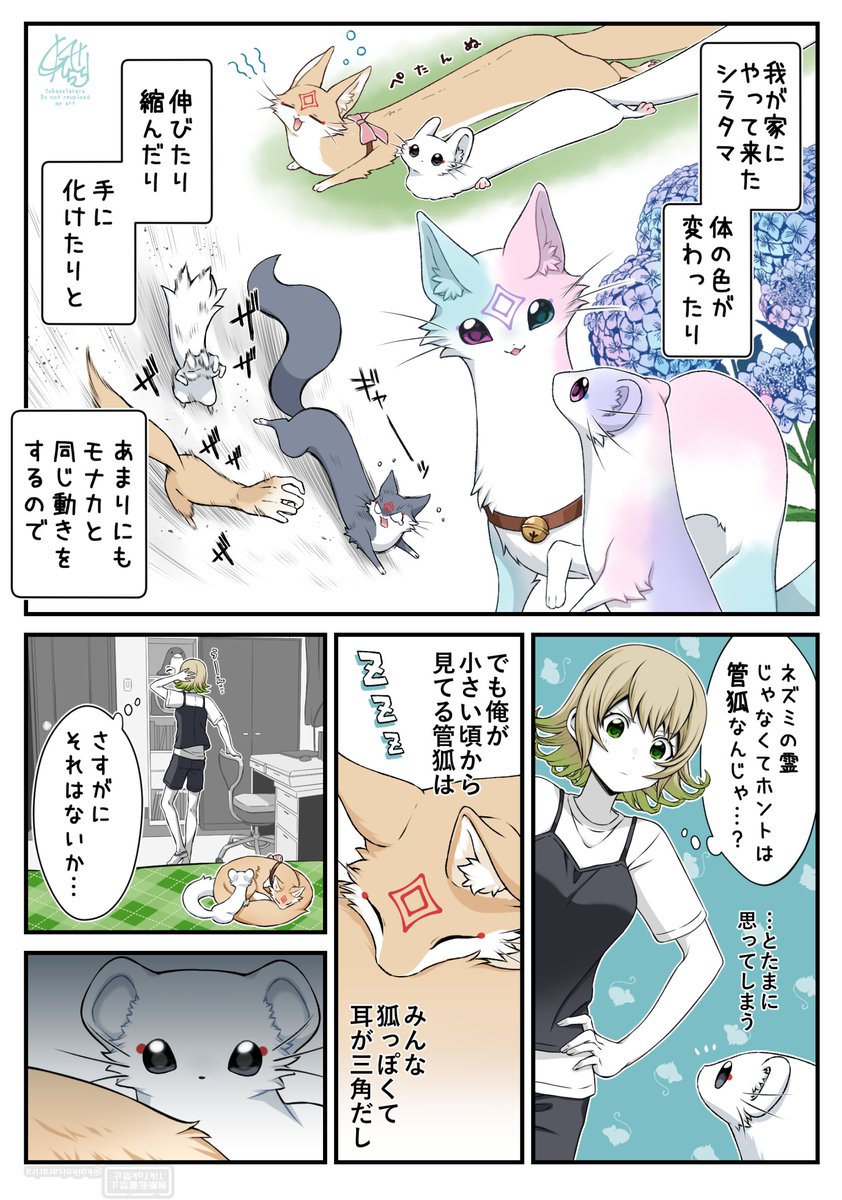 夜風さらら🦊狐の窓4巻✨発売中‼️ (@koikoisararira) / Highlights / X