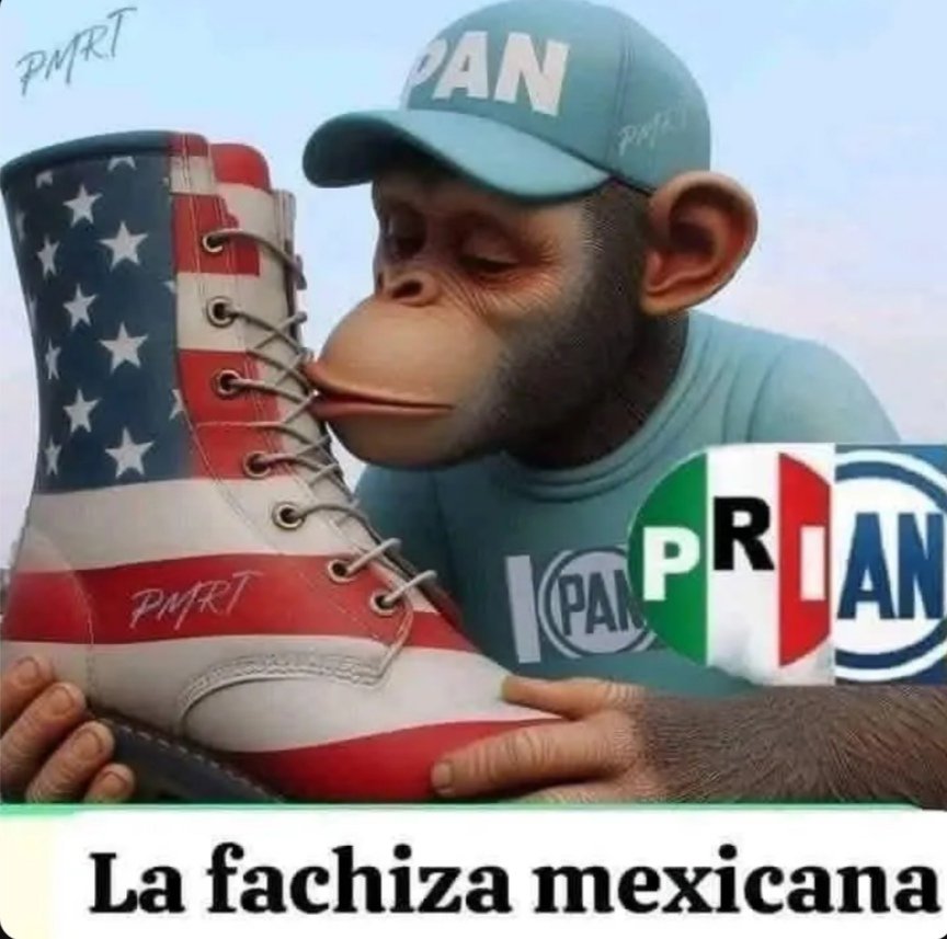 Xavsal's tweet photo. @LuisCardenasMx Al parecer todos los #DEREFACHOS TIENEN EL MISMO MODUS OPERANDI! LES GUSTA EVIDENCIAR A LOS QUE NO SON DE SU IDEOLOGÍA.
APLICAN LA GUERRA SUCIA Y TRAICIÓN A LOS DE IZQUIERDA PERO, CON SUS #PRIANAZIS! AHI SI MUY SUMISOS MUY #LAPERRITADETRUMP AH ! Y #NOSOYBOT! https://t.co/3jXqtqPNrJ
