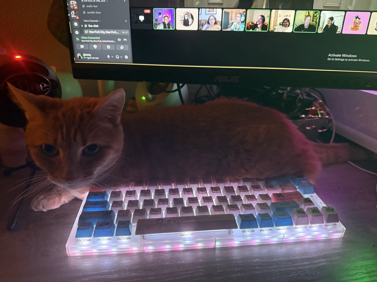 littlesparkee's tweet photo. anyone ever had personal space ? lmk https://t.co/xgdTubU25Q