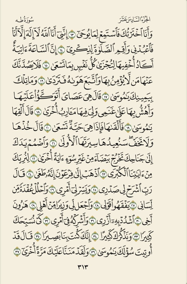 Salateeeen's tweet photo. https://t.co/mi01fqoCgE