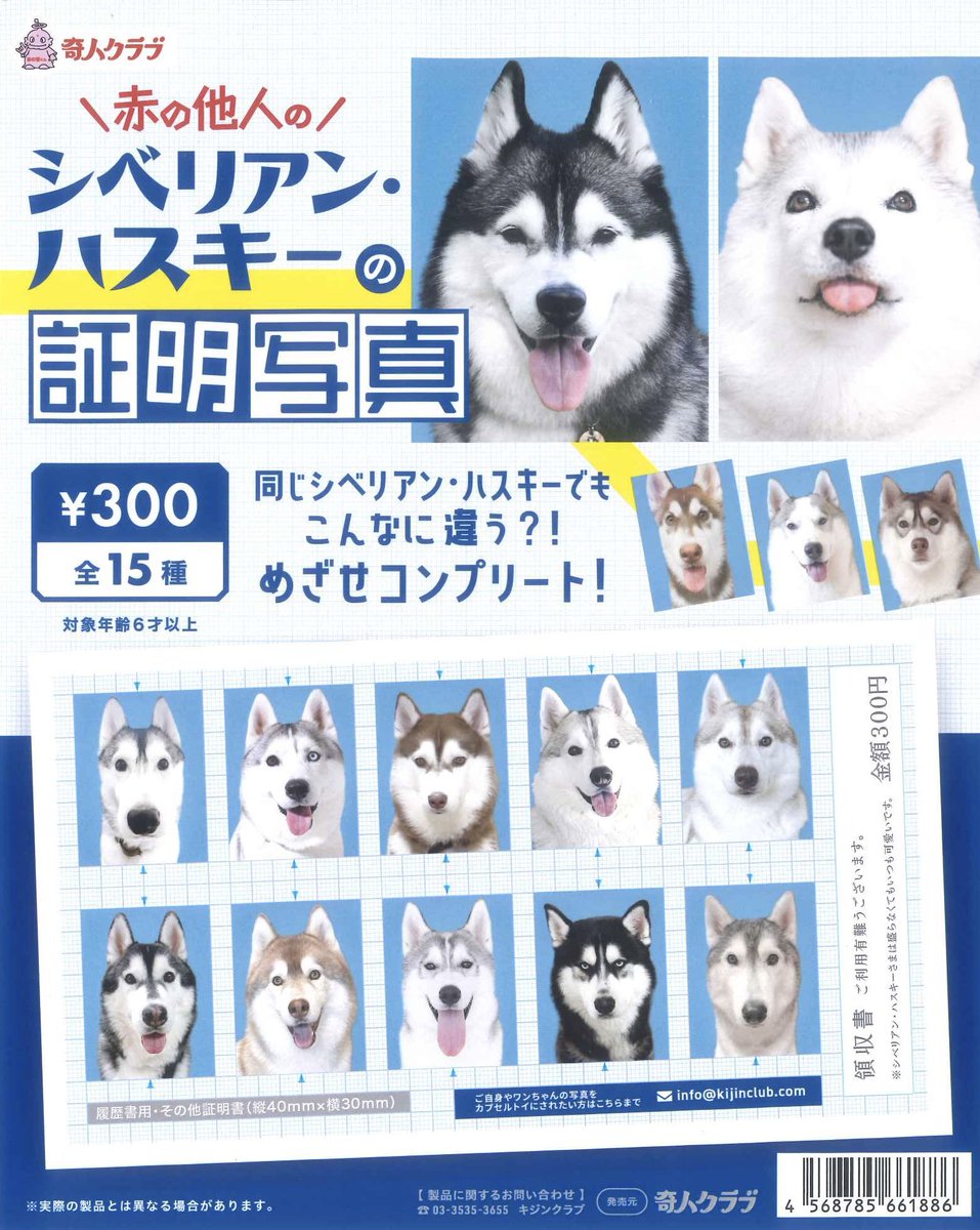 💫入荷案内💫~ 売切れの場合はご容赦ください ◎ワンちゃんの証明写真