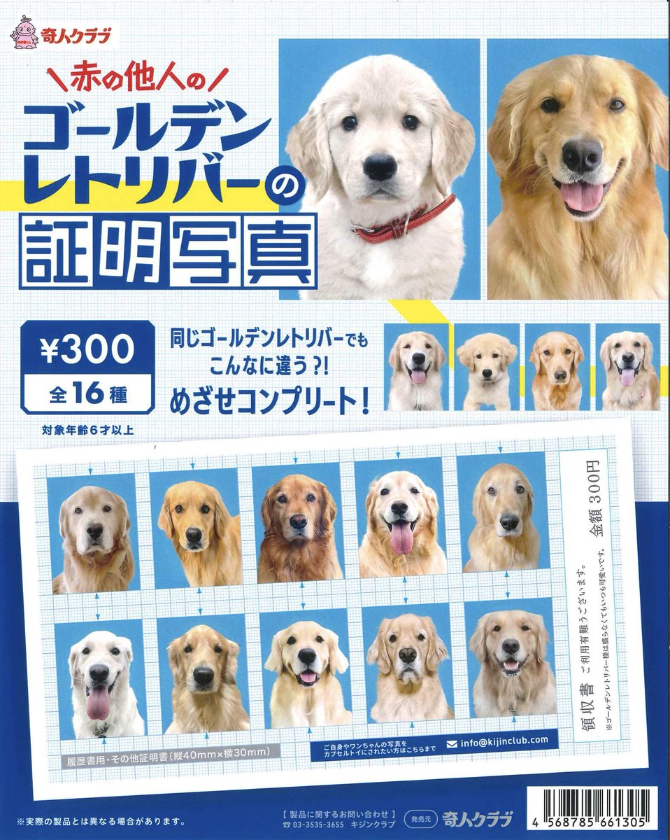 💫入荷案内💫~ 売切れの場合はご容赦ください ◎ワンちゃんの証明写真