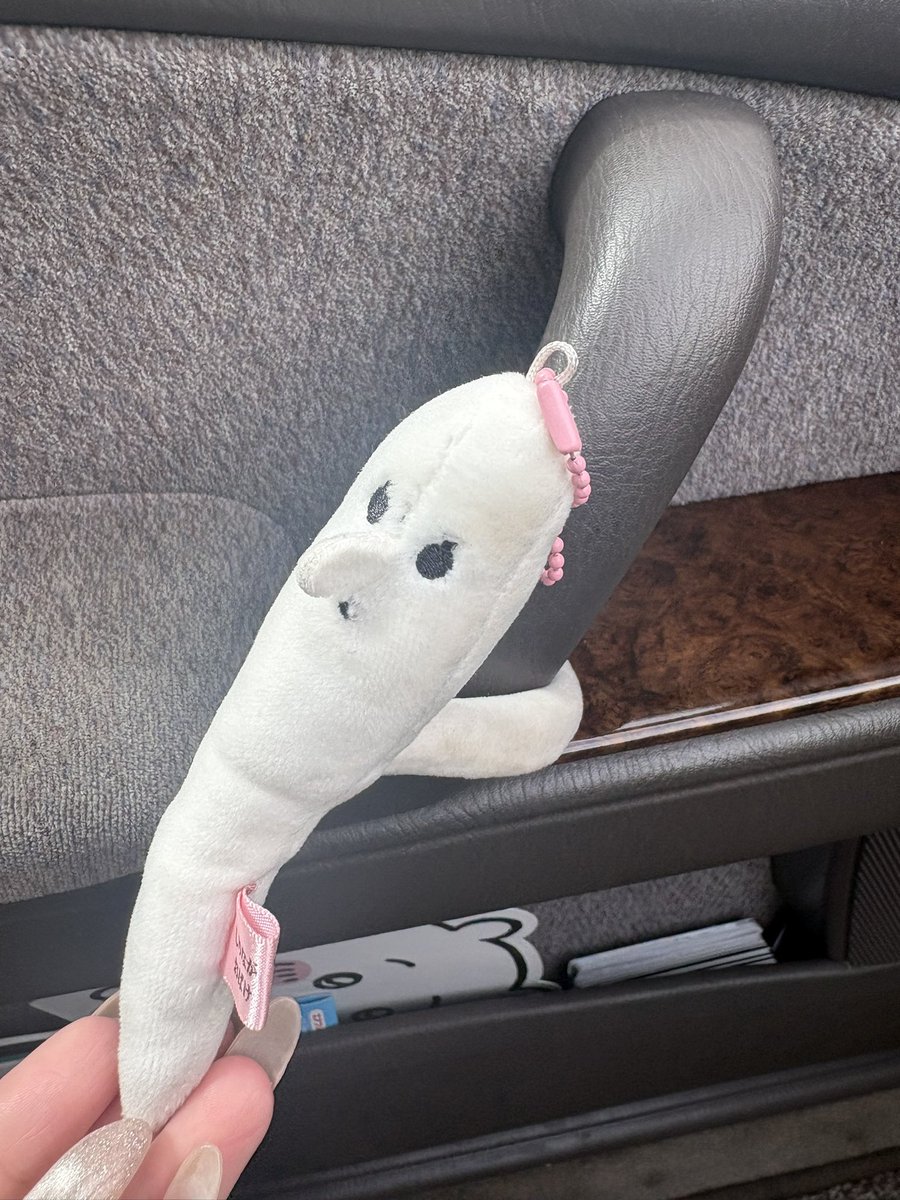 m_0118_mm's tweet photo. 結構大事にしてるしりながおばけ、バズってて嬉しい https://t.co/cVND1nFuSx