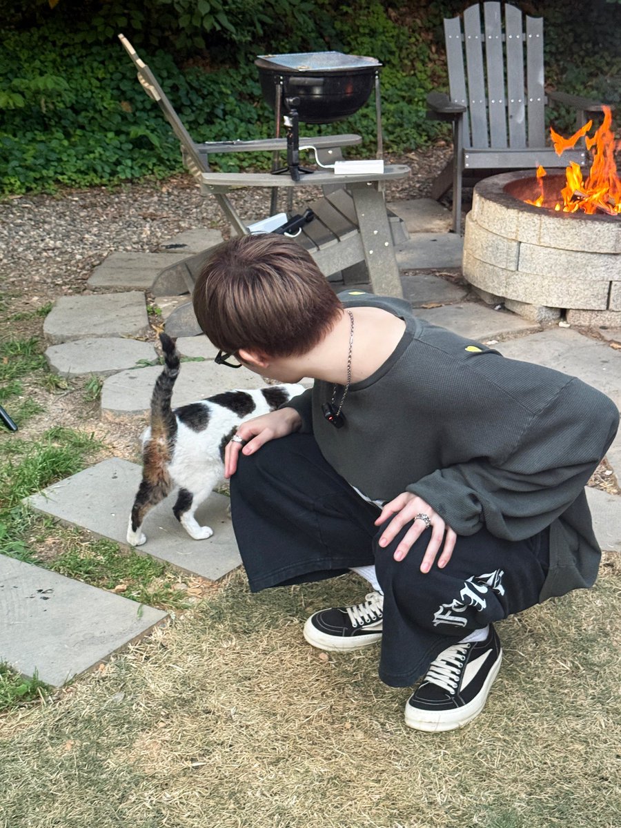ifntinfo's tweet photo. [SNS] 260702 INFINITE Sunggyu Bstage Update #2 

"The cat I met at the camping site 🐱"

#인피니트 #성규 #김성규 https://t.co/ZoVpVz5Wt2 https://t.co/xtsmHVyTTh
