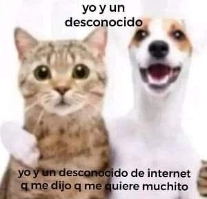 carola 🇲🇽 | busco mutis 📌 TENGO FAKIN LIMIT tweet media