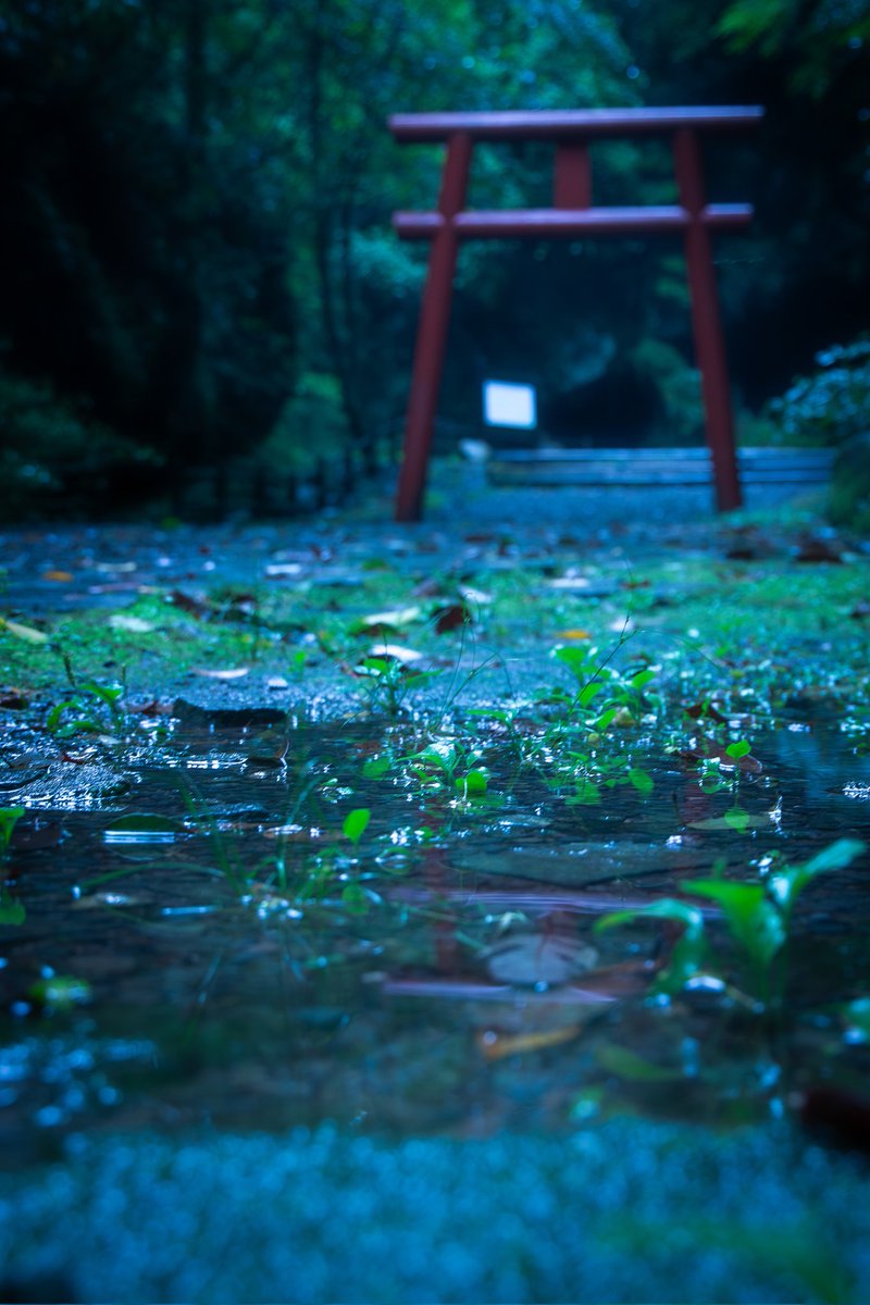 metron10452's tweet photo. 溝ノ口洞穴
神秘的な場所だった https://t.co/Cgde41YwqI