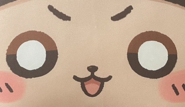 Mamesub04's tweet photo. 久しぶりのド近距離
おはよ〜 https://t.co/ixvuJmsyfg