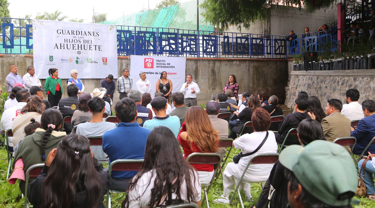 pueblaPSI's tweet photo. Cuidar un ahuehuete es preservar la historia, la identidad y las raíces de San Pedro #Cholula.

En #PSI reconocemos el liderazgo y el compromiso de nuestro coordinador municipal, Abundio Sandre, por impulsar “Guardianes de los Hijos del Ahuehuete”, una iniciativa que proyecta la siembra de 1,500 ejemplares como un símbolo de cuidado ambiental y de respeto al legado histórico y cultural del municipio.

Además, el Comité Ejecutivo Estatal se suma a esta causa con la adopción de una semilla, reafirmando nuestro compromiso con el medio ambiente, la historia y la cultura del municipio.