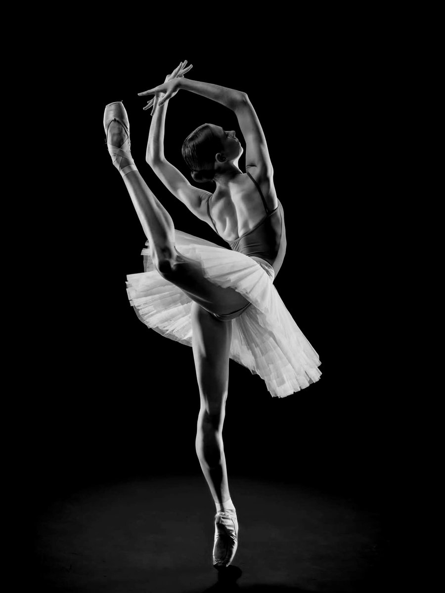 m77481070's tweet photo. “A delicadeza e a dignidade é o próprio coração que ensina e não um mestre de dança.” 

Dostoiévski https://t.co/ZZNjcjDbXJ