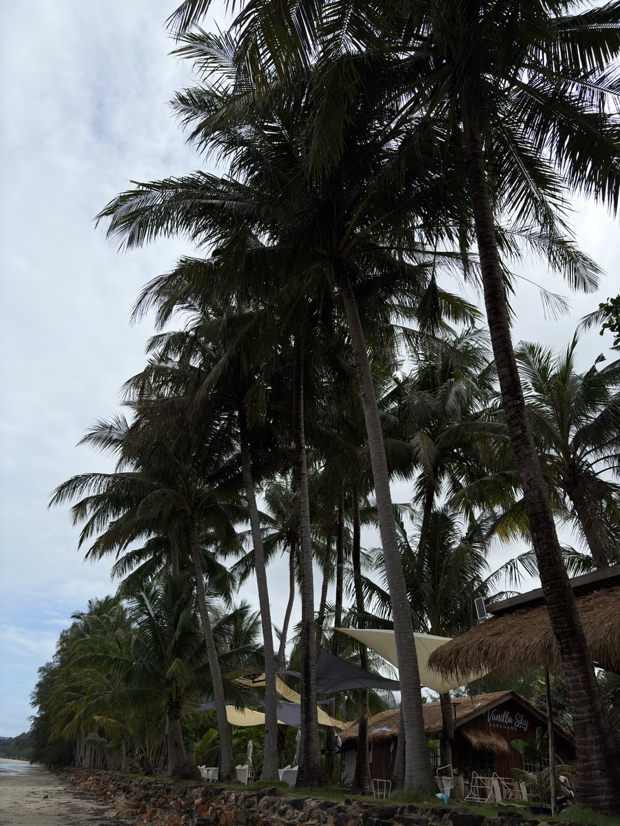 Chunechii's tweet photo. First time in Koh Chang Thailand 🇹🇭 #Kohchang ดีใจฝนไม่ตก 🙏 https://t.co/0wcRTU1mVn