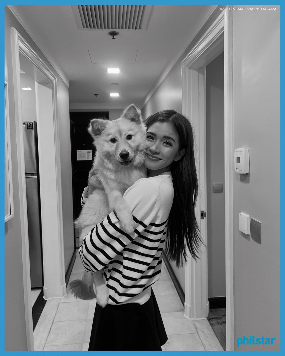 PhilstarNews's tweet photo. HAPPY BARK-DAY, HONEY! 🐶

BINI Aiah shared adorable photos as she celebrated the 2nd birthday of her beloved fur baby Honey on Wednesday, July 1.

“My soul dog, my spirit animal, my forever baby, my honey boo,” Aiah wrote on Instagram. https://t.co/mu3LxIam8S