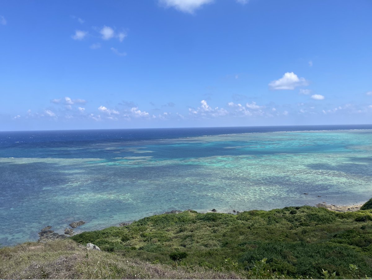 ineverfoget4's tweet photo. こんにちは🌞

私のある先輩は
自宅に戻ったが家人がおらず
鍵も持っていなかったため
2階から入ろうと壁をよじ登っていたら
通行人から警察に通報された。
当然であろう。

「初めてパトカー乗った」
彼は嬉しそうに言っていた😅

古書カフェうさぎ堂、営業中🐰

#石垣島 #うさぎ #古本屋 #カフェ https://t.co/xN73SjubrH