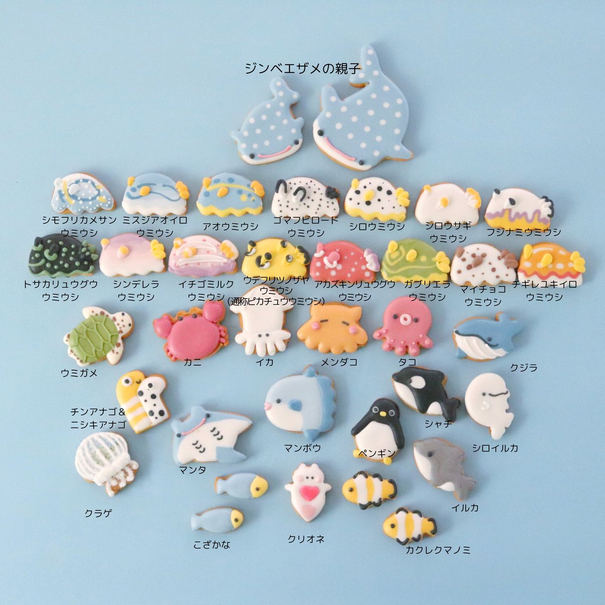morinookashi_'s tweet photo. 7月のクッキー缶は「うみのいきもの缶」です🐬

夏らしい涼やかな見た目のクッキー缶
当店の一番人気です✨

来週販売を予定しています。
詳細が決まりましたら改めてご案内させていただきます。 https://t.co/oZSTywpbhz