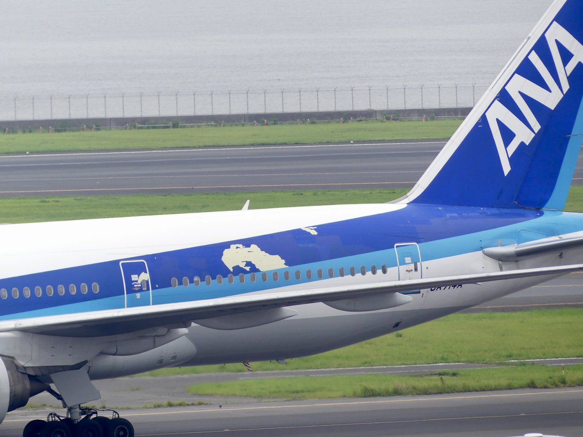 値下げ　今でしょ？　SAS A340 オリジナル塗装 複数の機材で塗装剥がれがあるのですかね？🤔 飛行機好きな妹に先日の