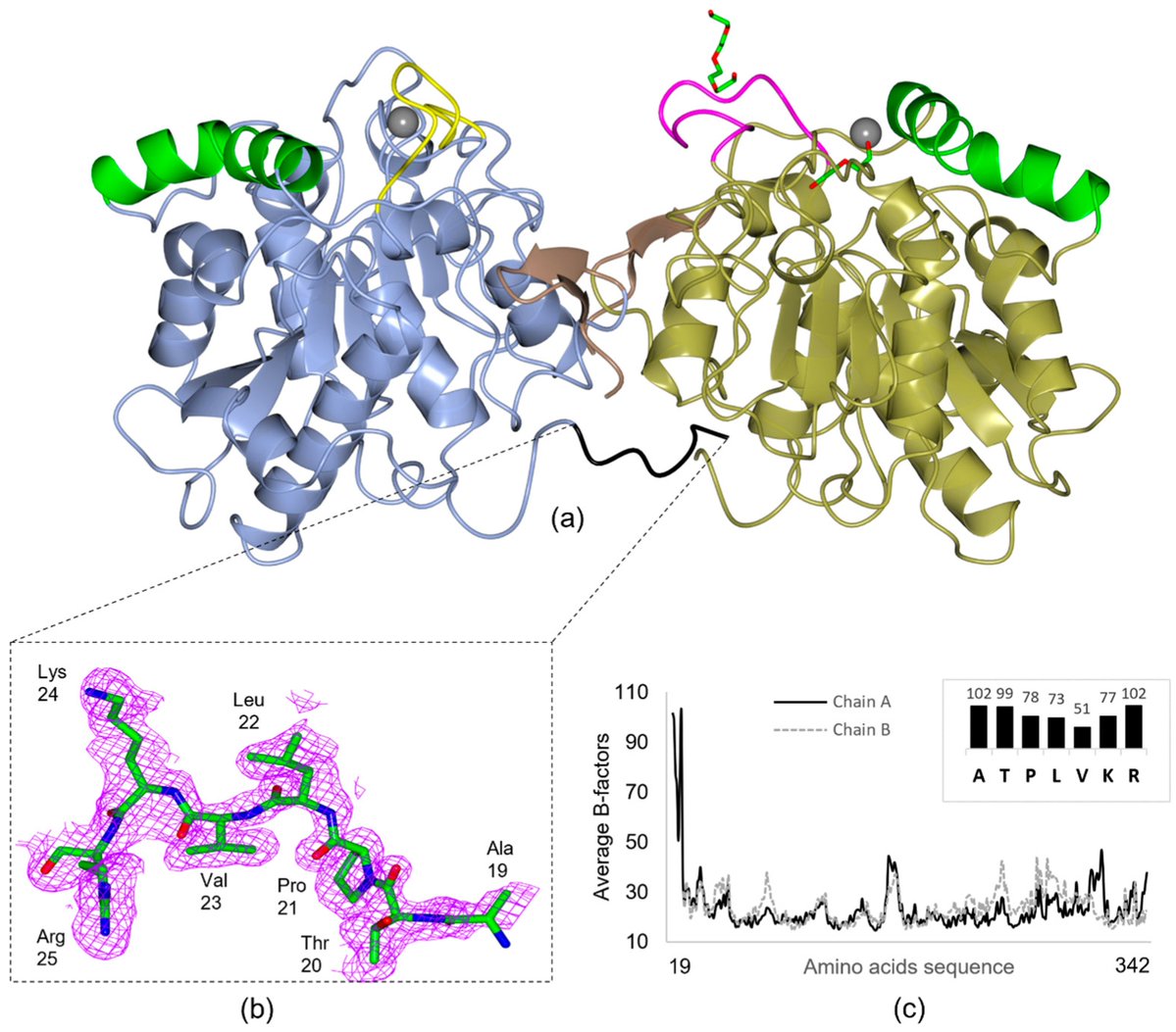 Crystals_MDPI's tweet photo. 🎉 Welcome to Read #ResearchArticle from #MDPICrystals
📑 #CrystalStructure of Candida antarctica Lipase B with a Putative Pro-Peptide Region
📚 Anil A. Sohail and colleagues
📌 https://t.co/NHTcIGKvtJ
#CalB #ProPeptide #ConformationalChanges #XRD #Crystallography https://t.co/iVTx6gdbAc