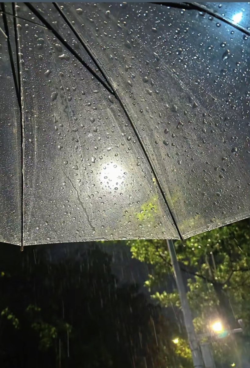 Vlad48728204's tweet photo. Walking the city streets after rain—warm lights, cool air, and that random little moment that makes the day. https://t.co/Dob0PUW2uJ