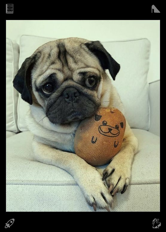 okzmmi's tweet photo. The dog runs with a bone toy. That evening, as the sun went down, Milo snuggled on Clara’s lap, feeling warm and comfortable, while Clara petted him and shared stories of her day, despite him not understanding the language. https://t.co/KXI9zHimW3