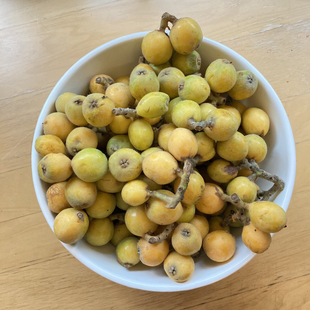 cafeeigoone's tweet photo. 枇杷長者
Fruits billionaire

#仙台　#英会話　#オンライン  #あなたである喜び https://t.co/DgYwqzkHn1