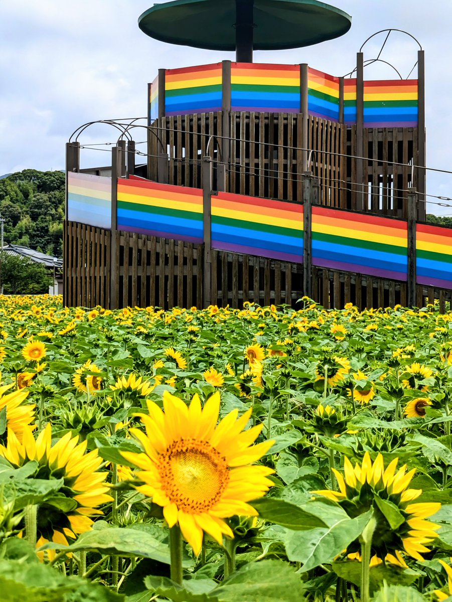 道の駅おおとう桜街道花公園 途中から晴れてきました。 今五分咲き