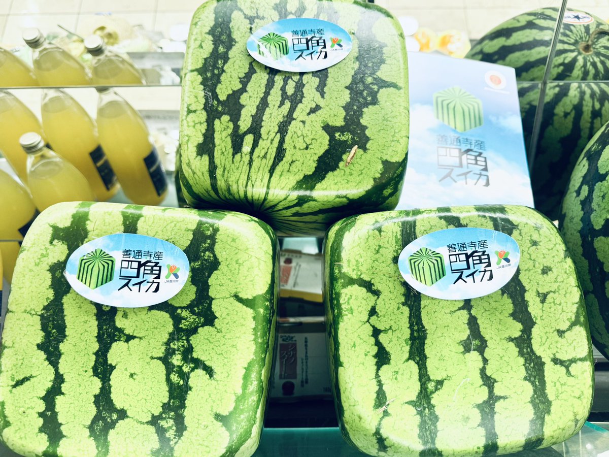 四角スイカ🍉 今年も始まりました…❤️