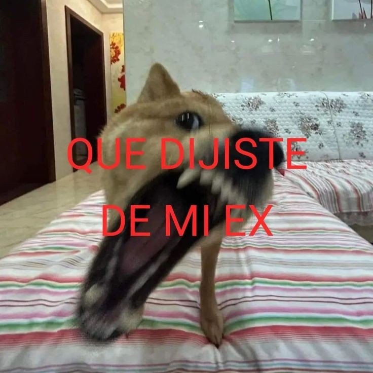 ℳ𝑦𝑎 tweet media