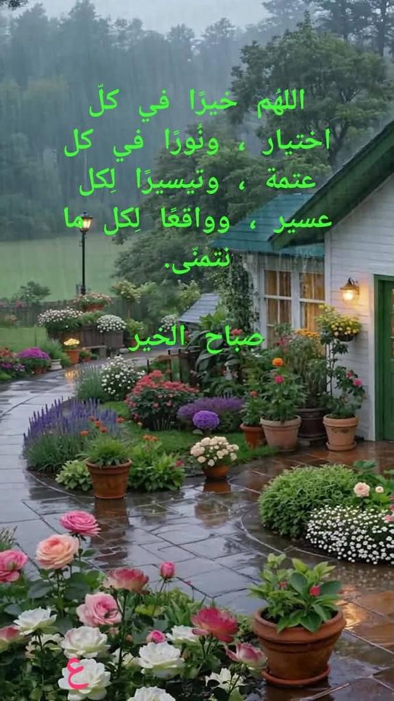ali390945's tweet photo. https://t.co/mUBc8xqXhh