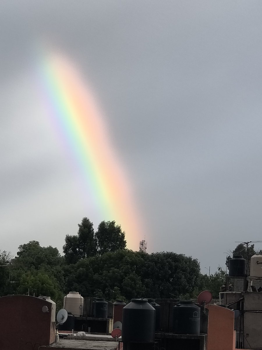 rauz86's tweet photo. @catpow3r Gatos joteando, amerita un cielo homosexual https://t.co/4jZon1dIlh