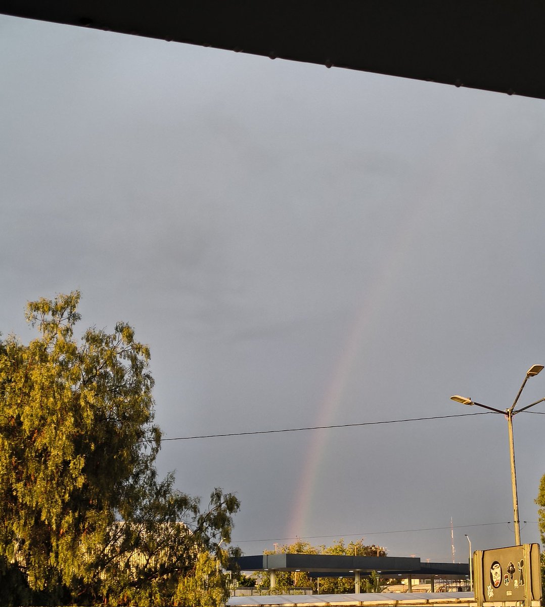 rauz86's tweet photo. @catpow3r Gatos joteando, amerita un cielo homosexual https://t.co/4jZon1dIlh