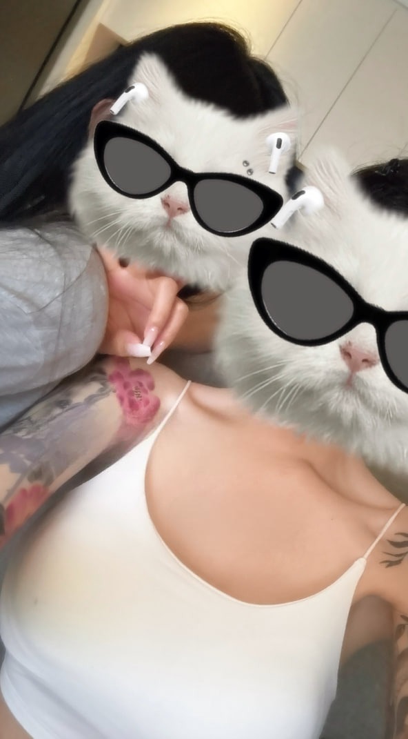 lu_na1023's tweet photo. Gang 기달려라 불금 우리가 간다😎🐱
#추천 #친구 #고양이 https://t.co/Q0rkz3z2RE